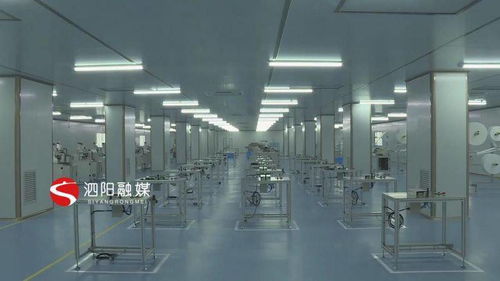 優服務強項目，科技賦能 泗陽意楊產業科技園的高質量發展之路