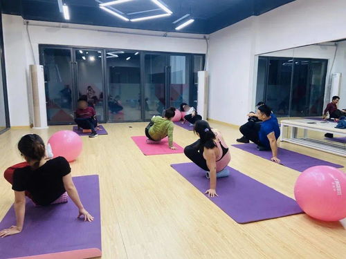 深耕社區文化品牌建設，賦能城市美好生活新篇章——金地海南公司場地設施經營探索