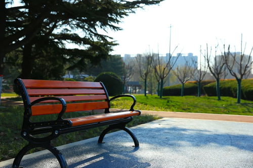 老園新顏 涂色童年記憶，濰坊公園的設施新生