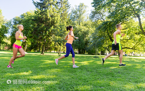 夏季公園馬拉松 運動、健康與快樂的交匯點